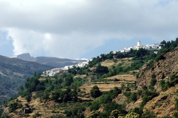 Panorama de Capileira (MAN)